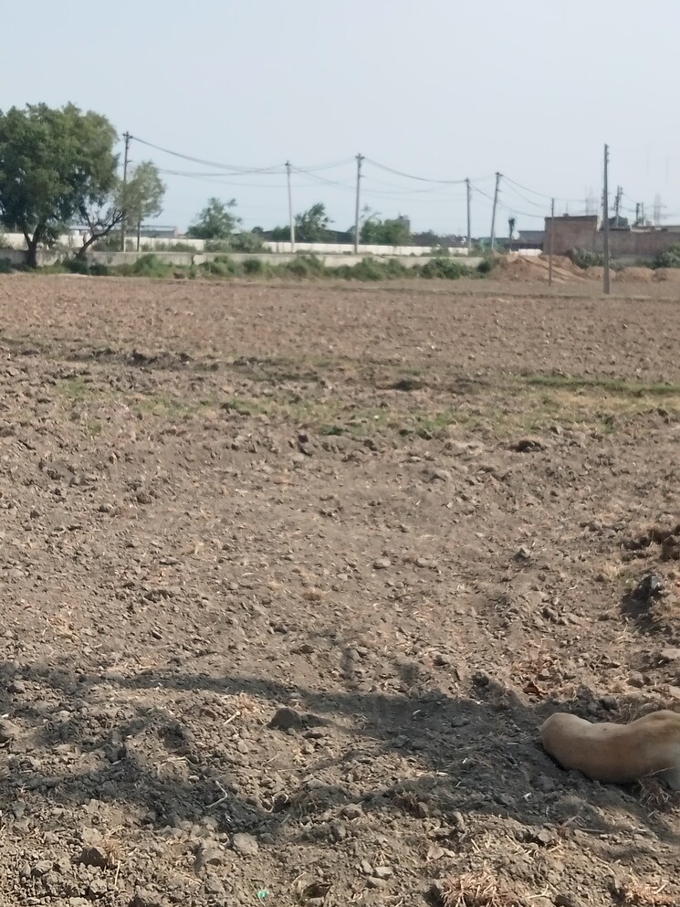 undefined, kabri Commercial Industrial Plot 3 Acre In Kabri Panipat 8815333