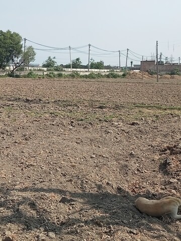 Plot Area in  Industrial Plot at Kabri – for Sale