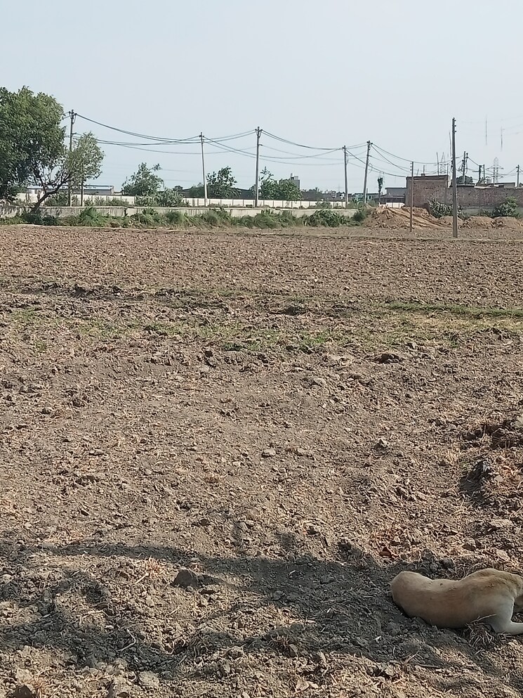 undefined, kabri Commercial Industrial Plot 3 Acre In Kabri Panipat 8815333