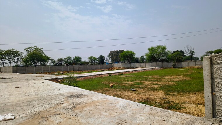 undefined, mopka  1200 Sq.Ft. Plot In Mopka Bilaspur 8815362