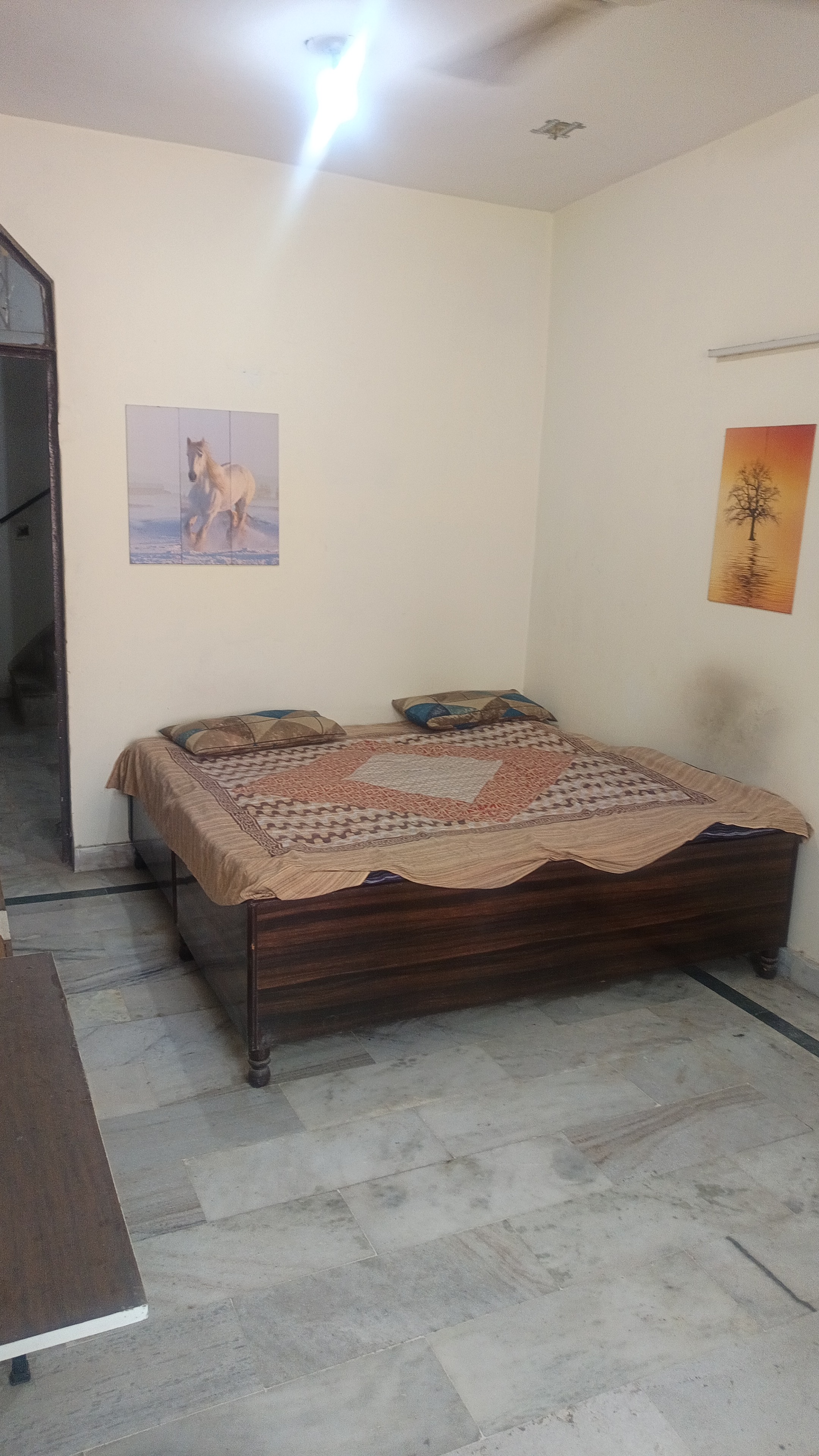 1 Rk+ Study Room Builder Floor For Rent in Patel Nagar