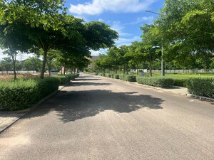  Plot – Garden View at Chamarajapuram Mohalla - for Sale