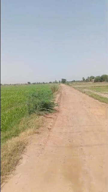 Plot Area in  Land at Hiranthla – for Sale