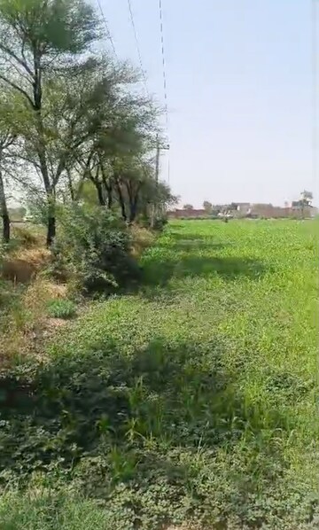 Plot Area in  Land at Hiranthla – for Sale