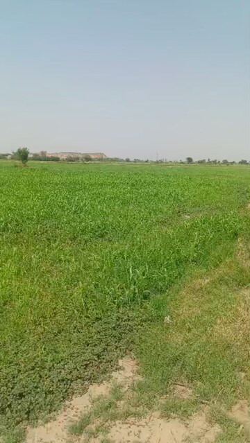 Plot Area in  Land at Hiranthla – for Sale