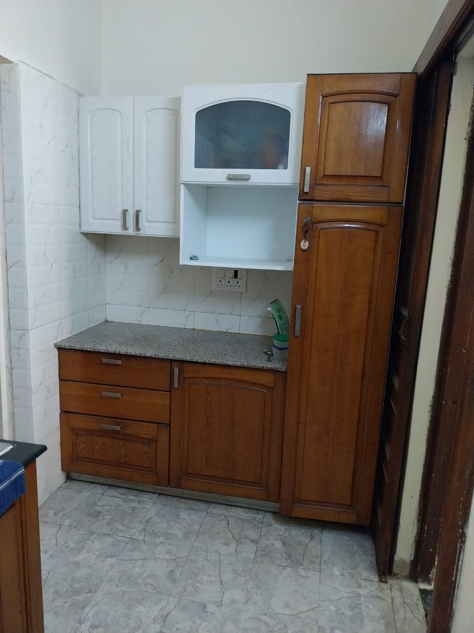 3 BHK Independent House For Rent in Sector 49