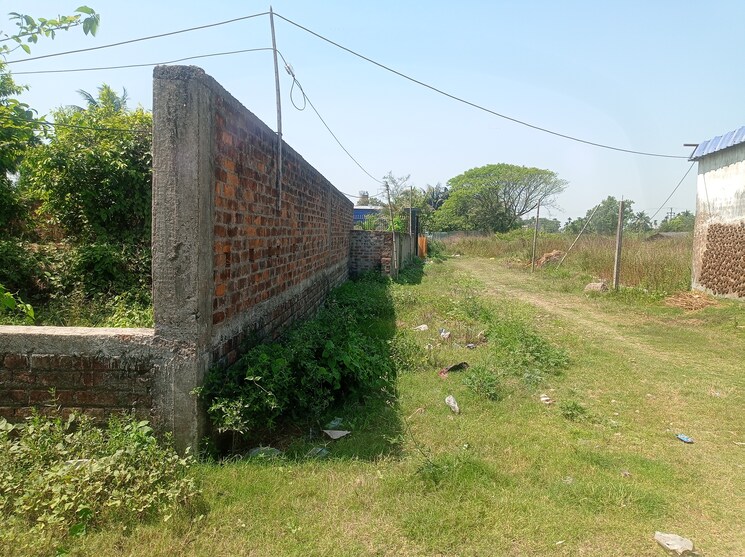 undefined, southern-park  1455 Sq.Ft. Plot In Baruipur Kolkata 8815943