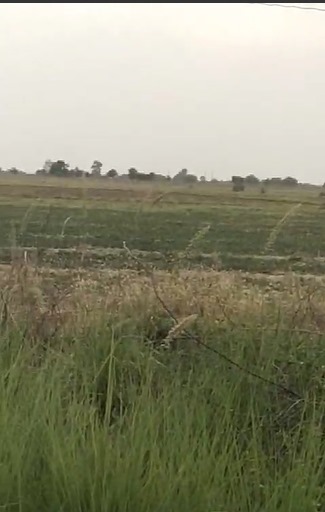 Land For Sale in Sindhu Bhavan Road