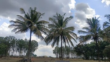  Plot – Garden View at Kithaganur Village - for Sale