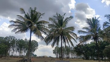  Plot For Sale in Kithaganur Village