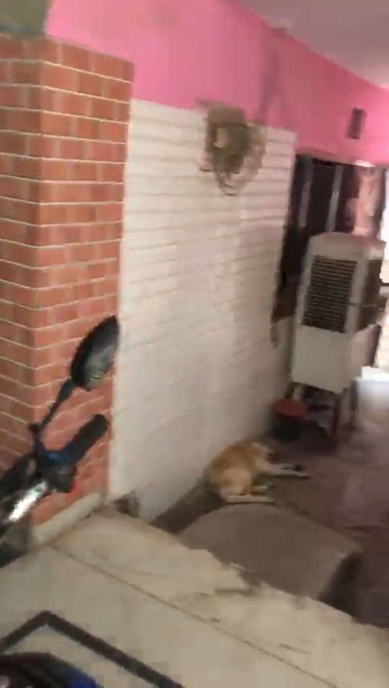 undefined, baraula 6+ Bedroom 600 Sq.Yd. Independent House In Baraula Noida 8816268