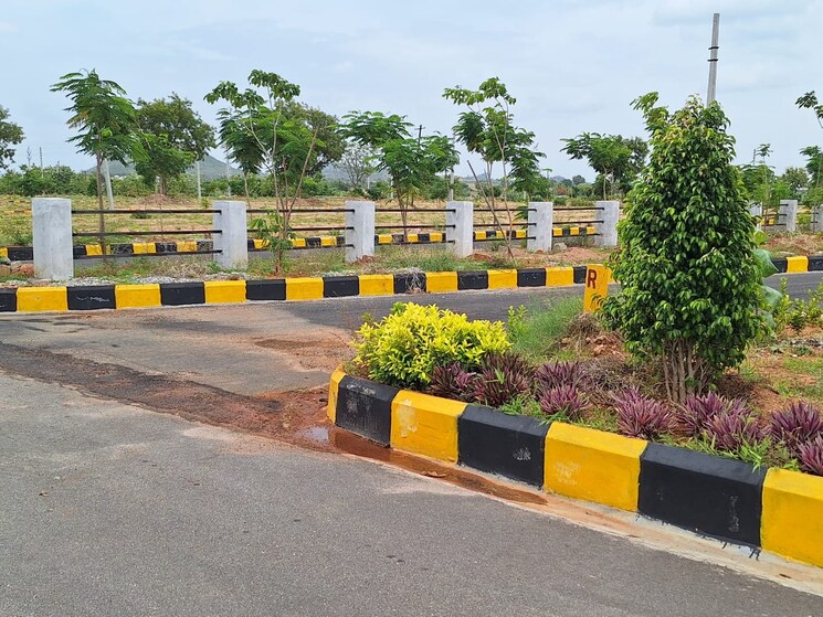 Garden, amangal  120 Sq.Yd. Plot In Amangal Hyderabad 8816382