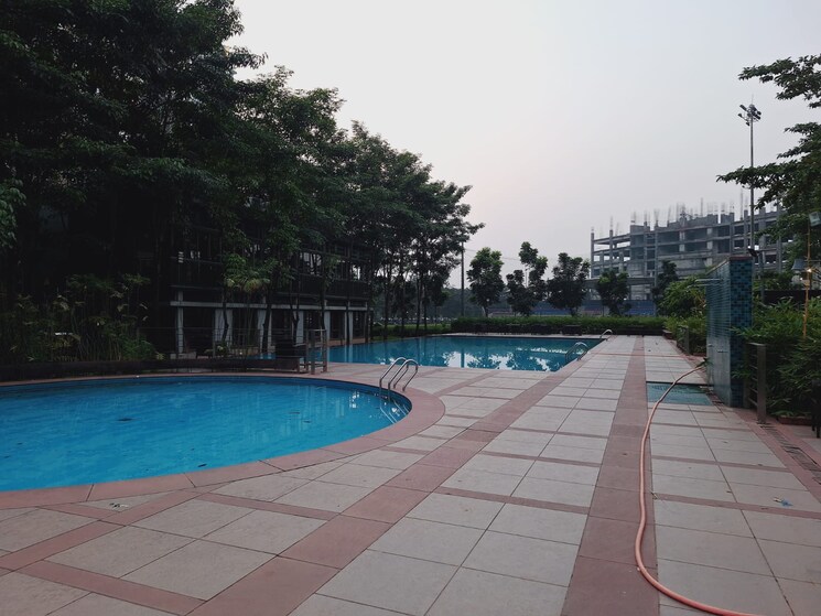 Swimming Pool, lodha-palava-exotica 2 Bedroom 969 Sq.Ft. Apartment In Dombivli East Thane 8816404