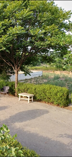  Plot For Sale in Jewar