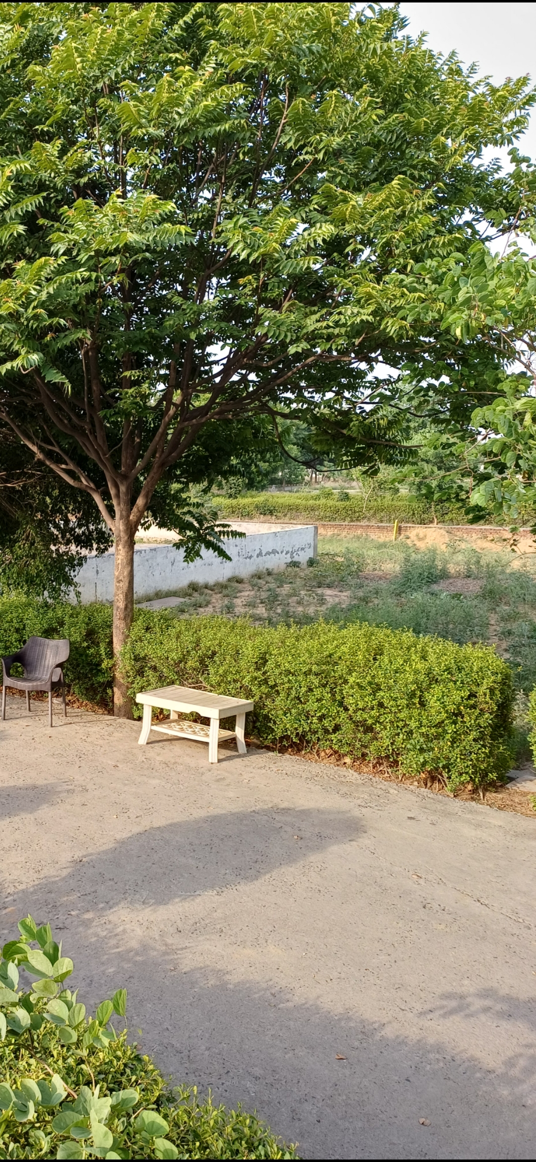 Plot For Sale in Harit City 