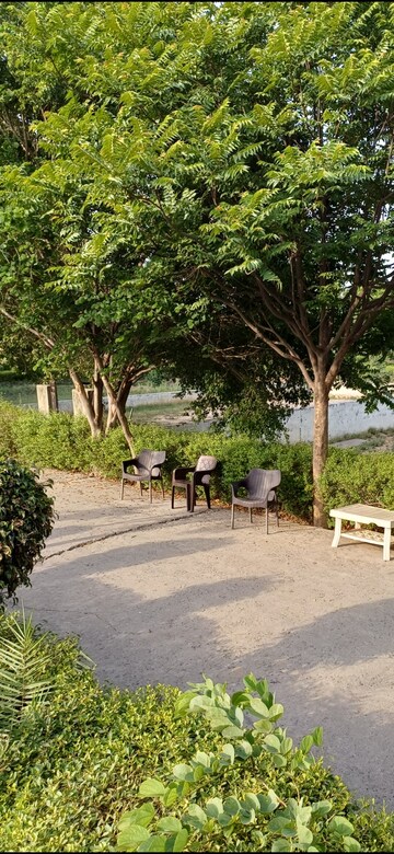 Plot – Exterior View View at Jewar - for Sale