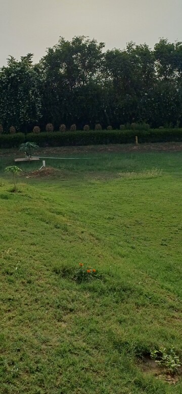 Plot Area in  Plot at Jewar – for Sale