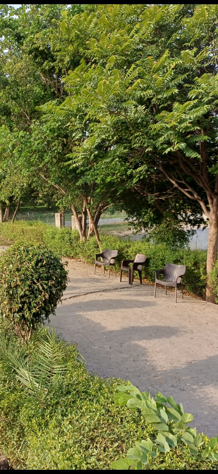 Garden, jewar  181 Sq.Yd. Plot In Jewar Greater Noida 8816428