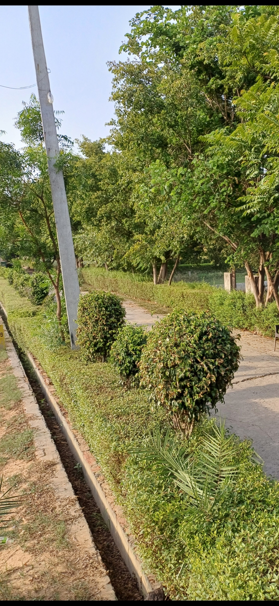 Plot For Sale in Harit City 