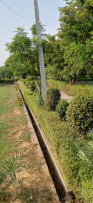  Plot – Garden View at Jewar - for Sale