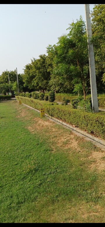 Plot Area in  Plot at Jewar – for Sale