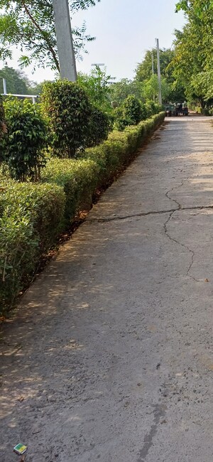 Plot Area in  Plot at Jewar – for Sale