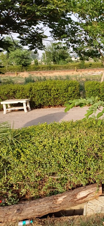 Plot Area in  Plot at Jewar – for Sale