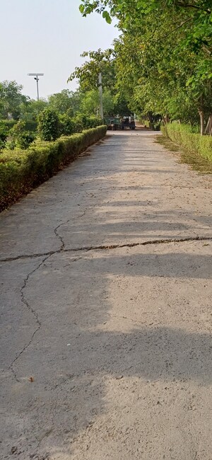  Plot For Sale in Jewar