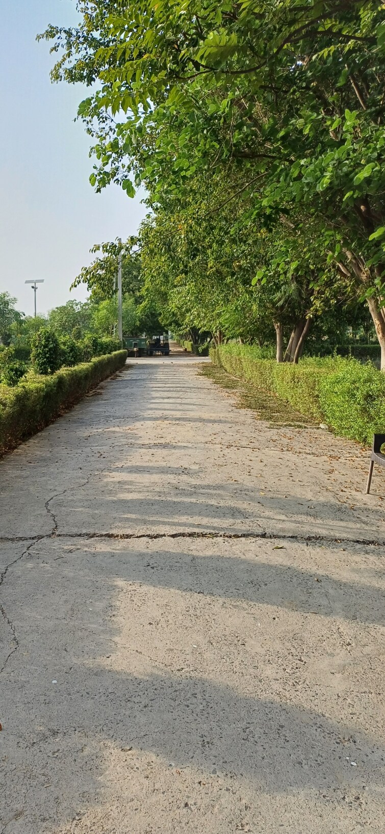 Cover Image, jewar  184 Sq.Yd. Plot In Jewar Greater Noida 8816457