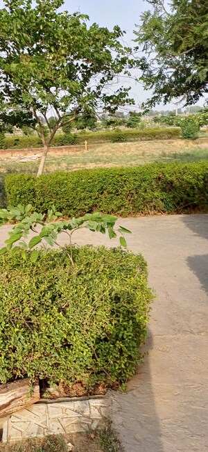 Plot Area in  Plot at Jewar – for Sale