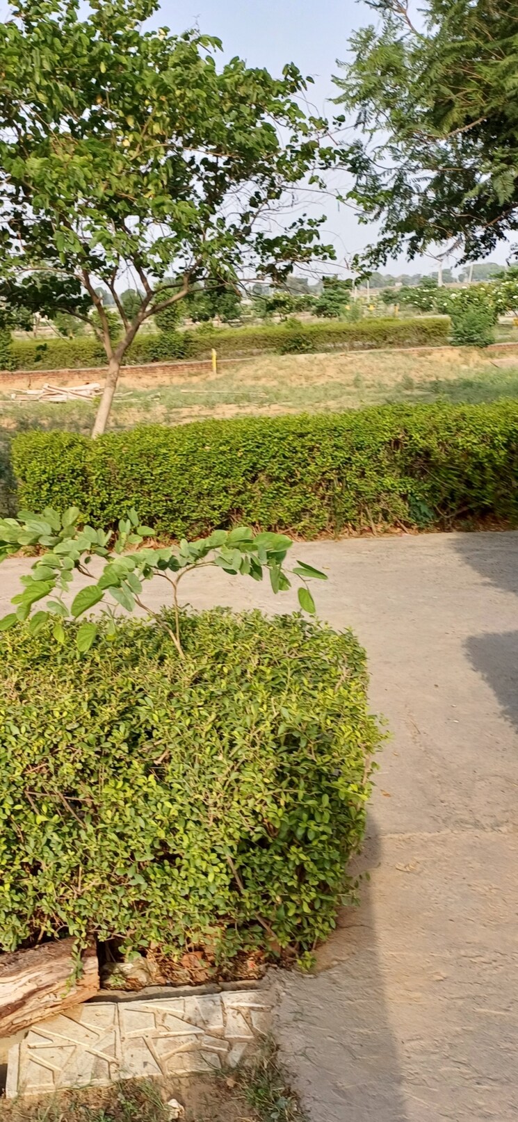 undefined, jewar  184 Sq.Yd. Plot In Jewar Greater Noida 8816457