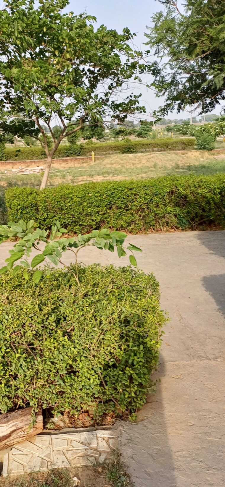 undefined, jewar  184 Sq.Yd. Plot In Jewar Greater Noida 8816457