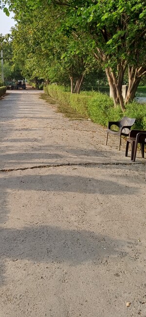  Plot – Exterior View View at Jewar - for Sale