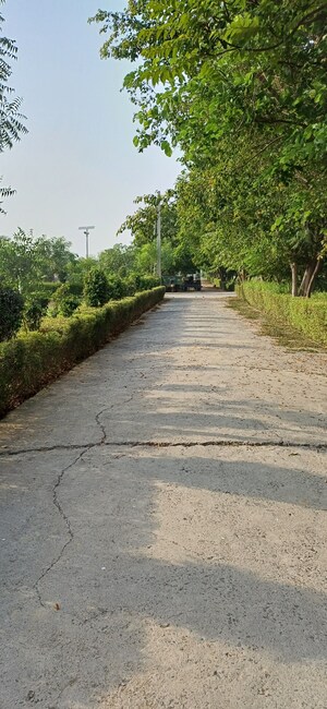 Plot Area in  Plot at Jewar – for Sale