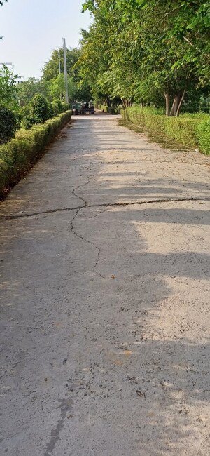 Plot Area in  Plot at Jewar – for Sale