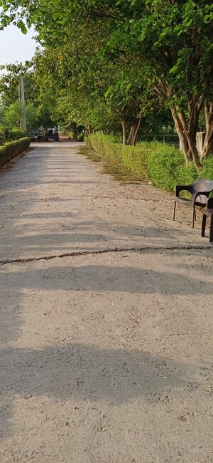  Plot For Sale in Jewar