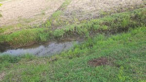 Plot Area in  Land at Gangadharapuram – for Sale