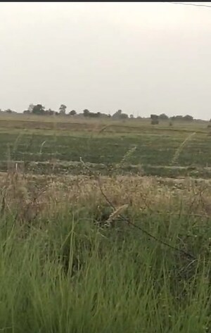  Plot For Sale in SarkheJ-Okaf