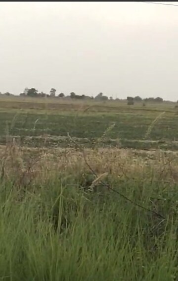  Plot For Sale in SarkheJ-Okaf