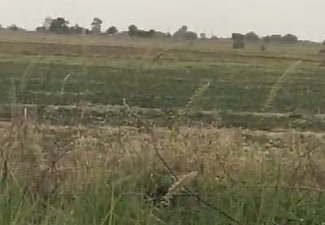 Plot For Sale in SarkheJ-Okaf