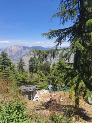 Plot Area in  Plot at Kufri – for Sale