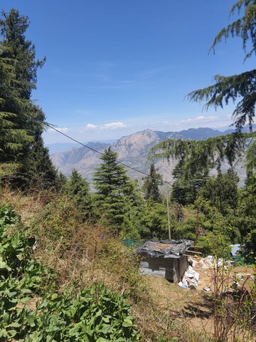 Plot Area in  Plot at Kufri – for Sale