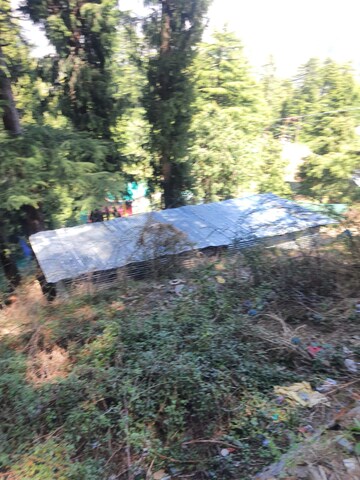  Plot – Garden View at Kufri - for Sale