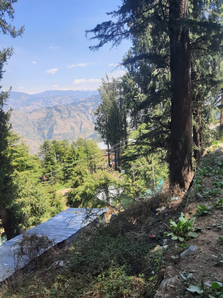 Garden, kufri  7200 Sq.Ft. Plot In Kufri Shimla 8816556