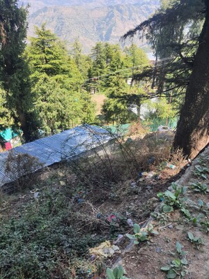  Plot – Garden View at Kufri - for Sale