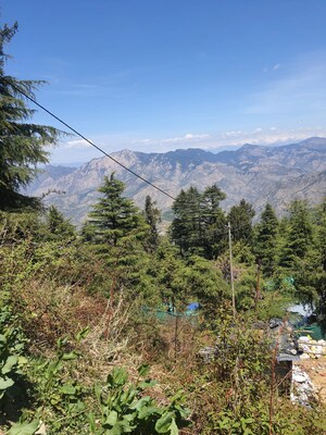  Plot For Sale in Kufri