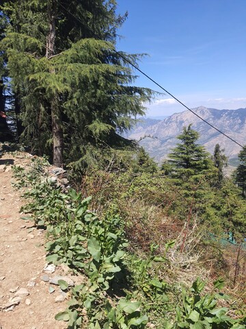 Plot Area in  Plot at Kufri – for Sale