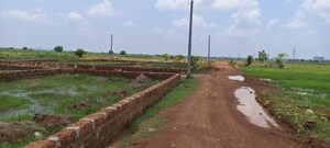 Plot Area in  Plot at BhubaneswaR-Puri Highway – for Sale