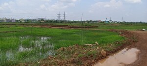 Plot Area in  Plot at BhubaneswaR-Puri Highway – for Sale