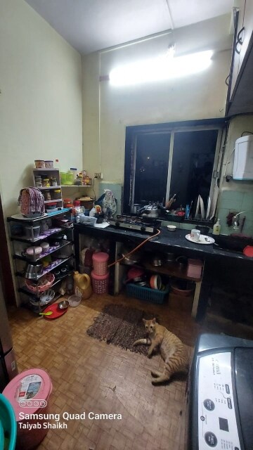 Room in 1 BHK Apartment at Versova – for Rent
